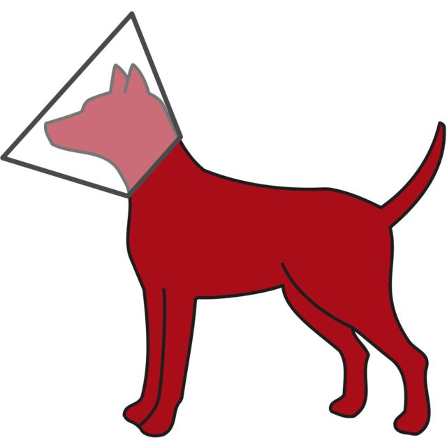 Trixie Protective Pet Cone Collar