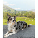 Vetbed British Wool Blend