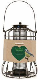 Squirrel Proof Nut Feeder Lantern